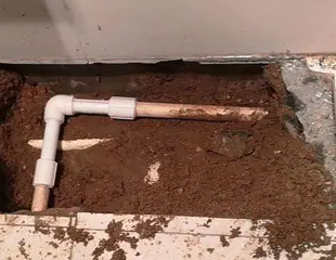 新蔡测漏水哪家好