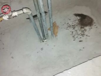 新蔡卫生间测漏水价格明细