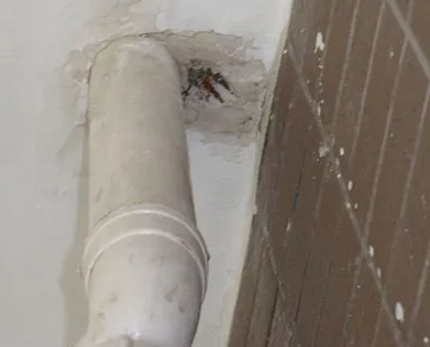 新蔡漏水检测哪家好